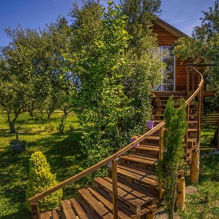 Fairytale Hotel Koukounariá Eksteriør billede